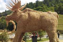 Les Verneys salmu skulptūru izstāde Alpos 23-07-2017