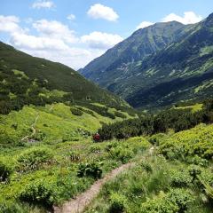 Podbanské - Pyšné sedlo - Podbanské